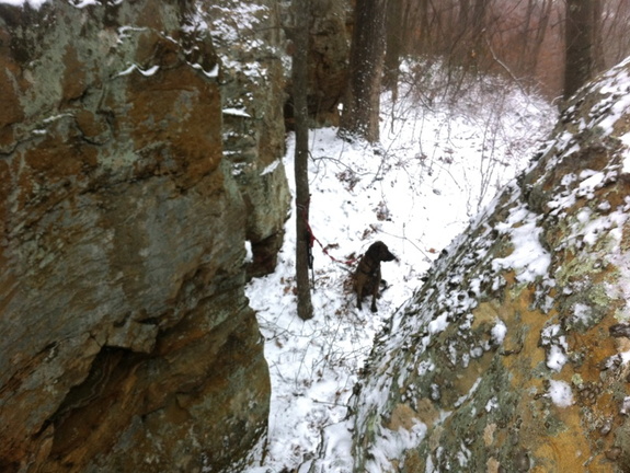 Big Limestone Knob Trail - 4